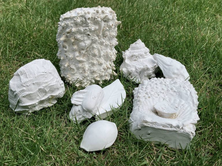 【募集】なるほど！？美楽　「まるで彫刻家？！ねんどでカンタン、型取り体験」